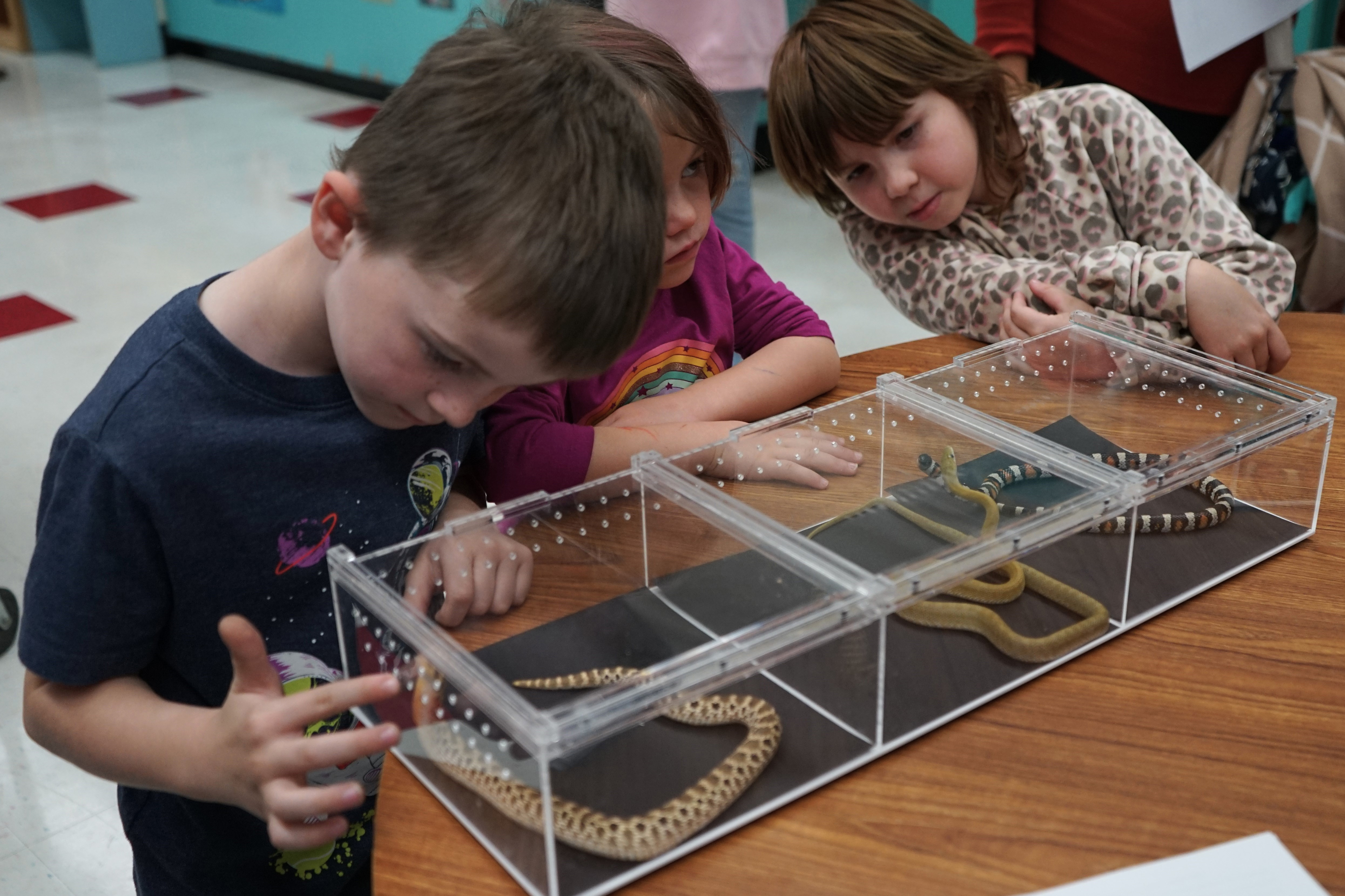 A boy and two girls look at snakes in a glass container