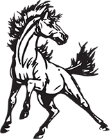 Bronco Logo